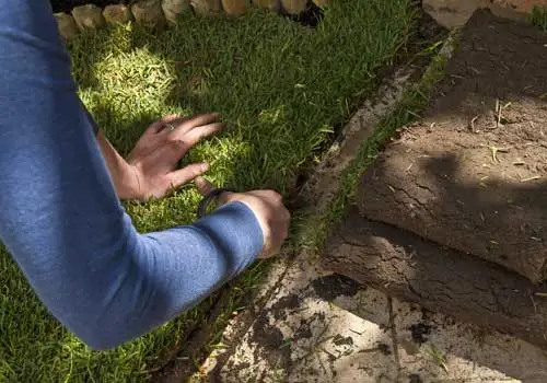 Conscape Lighting + Audio Person cutting sod to fit along the edge of a garden bed, with stacked pieces of sod and soil nearby, preparing the area for new outdoor lighting to enhance the landscape.