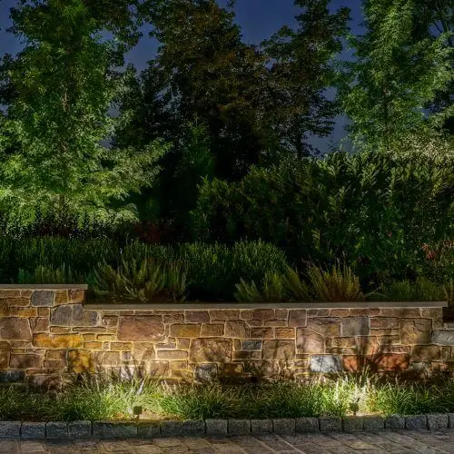 Conscape Lighting + Audio Stone wall and plants illuminated by Toronto lighting at night, with tall trees and a dark sky in the background.